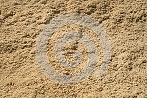 Closeup shot of wood shavings or sawdust after cutting wooden logs