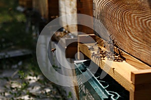 Closeup shot of a wooden beehive and bees