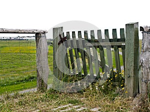 Closeup shot of a wooden fence on the dike at daytime