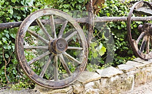 Closeup shot of wooden wheels on a stone border in front of the green plants