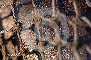 Closeup shot of a worn weathered rope mesh