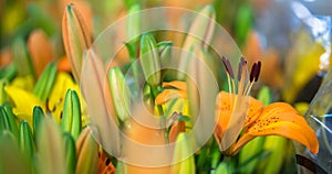 Closeup shot of yellow lilies in a bouquet