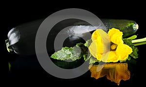 Closeup shot zucchini with flower on black background