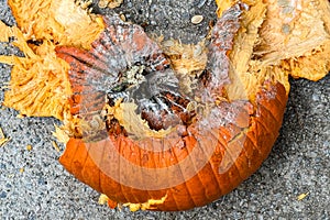 Closeup shows smashed pumpkin in pieces on pavement