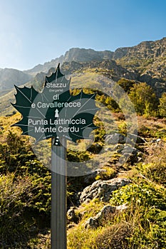 Closeup of a sign post pointing towards Punta Lattiniccia and Monte Cardu Cardo located in the Regional Natural Park of Corsica