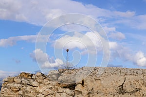 Closeup of a single dried weed on a rough rock wall outlined against a blue sky with clouds