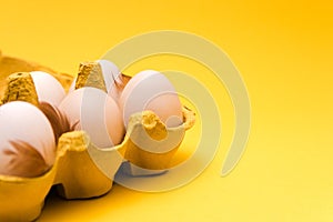 Closeup. six ecological eggs and natural further in an eggbox on yellow background