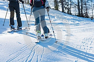 Closeup of skis of two skiers.