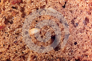Closeup of a slice of bread with nuts Whole background