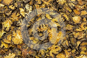Closeup sliced dried Szechuan lovage used as traditional Chinese