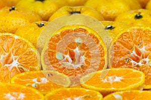 Closeup of sliced oranges