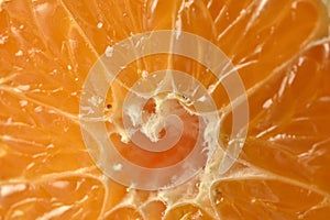 Closeup of sliced oranges