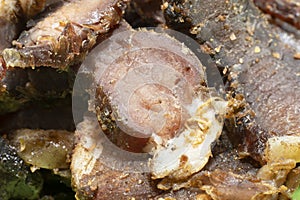 Closeup of sliced South African biltong