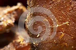 Closeup of sliced South African biltong