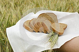 Closeup of slices of rye bread and green wheat stems on the white napkin, green wheat field