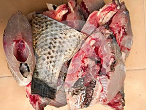 Closeup sloced of parrot fish/nila fish, ready to cook