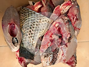 Closeup sloced of parrot fish/nila fish, ready to cook