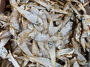 Closeup of small dried fish in an Asian market