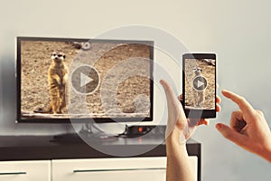 Closeup of a smart phone is connected to a smart TV. photo