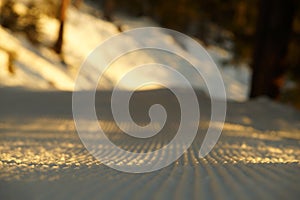 Closeup of snow surface of mountain slope during sunrise. Warm colors, shadows on snow, background of snowy forest