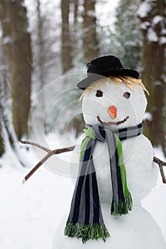 Closeup snowman