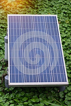 Closeup of solar panel with green aquatic plant background