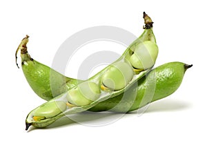 Closeup of some broad bean pods with the beans inside