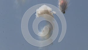 Closeup of some diurnal fireworks. Celebrate.