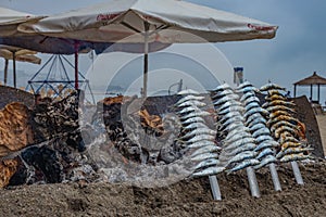 Closeup of some espetos prepared on skewers and open flame on fireplace with olive trees wood on the beach.
