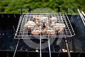 Closeup of some meat skewers being grilled in a barbecue. Grilling marinated shashlik on a grill.