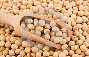 Closeup soy beans background. food background