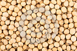 Closeup soy beans background. food background