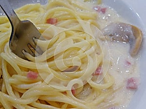 Closeup of Spaghetti with Mushroom Herb and Ham in white Creamy Sauce