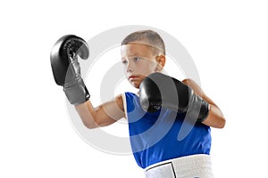 Closeup sportive little boy, kid in boxer gloves and shorts training isolated on white studio background. Concept of