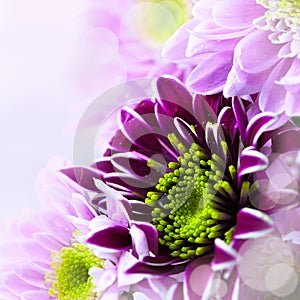 Closeup of spring flower bouquet