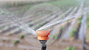 Closeup of sprinkler spraying water on farm field, irrigating young agricultural crops on sunny day