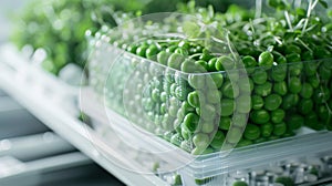 A closeup of a stack of frozen peas neatly organized in a pristine white freezer tray