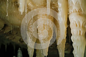 closeup of stalactites inside a submerged cavern