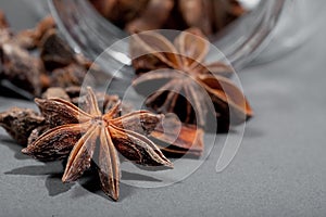 Closeup of star anise seed on gray