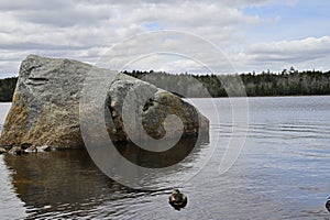 Closeup of a stone in the lake. Nova Scotia, Canada