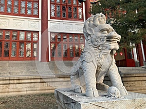 Closeup of stone lion sculpture at a traditional Chinese temple