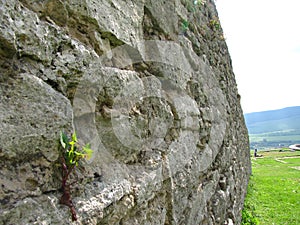 Kamenný múr starovekej pevnosti