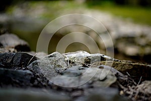 Closeup of stones with Blurred Copyspace