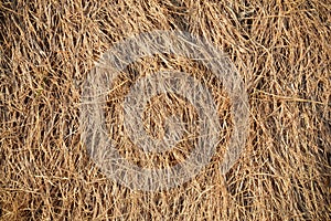 Closeup straw at roof hut in the countryside.