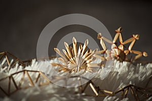 Closeup with a straw stars in sunlight photo