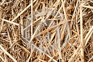 Closeup of straw texture surface