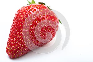 Closeup of strawberry on white background