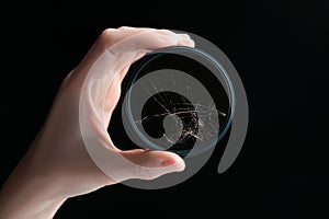 Closeup studio shot of hand holding black circular polarizer filter with cracked glass, isolated on black background