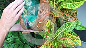 Closeup of stylish handmade rattan handbag on a tropical background. Bali island.