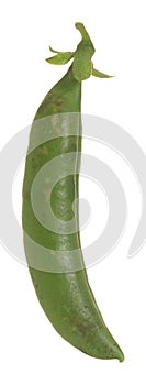 Sugar pea pod with peas isolated on white background